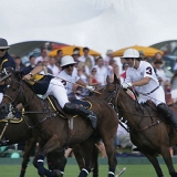 Photoscience - Polo and Wedding photographers in Hampshire Surrey and Sussex